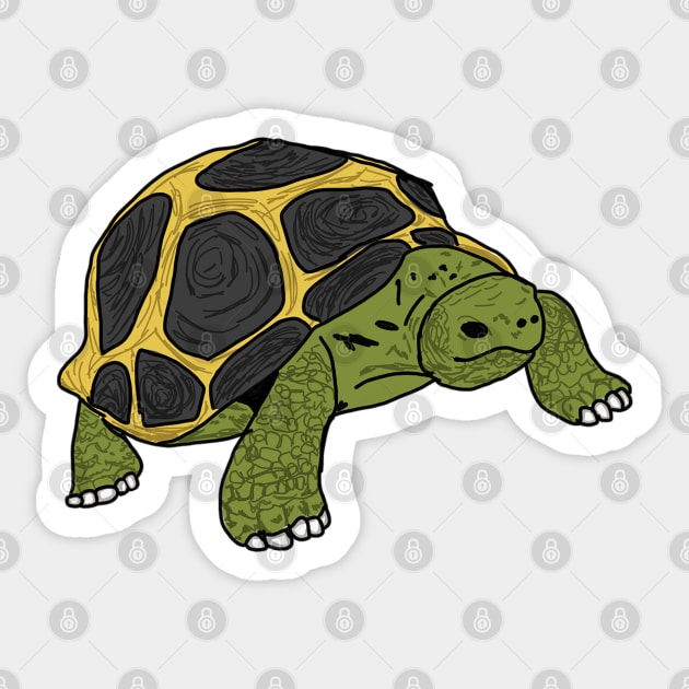 Tortoise Sticker by Geometrico22